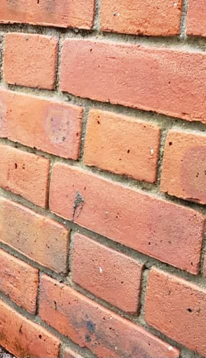 Close-up of a clean red brick wall after pressure washing removed moss and dirt