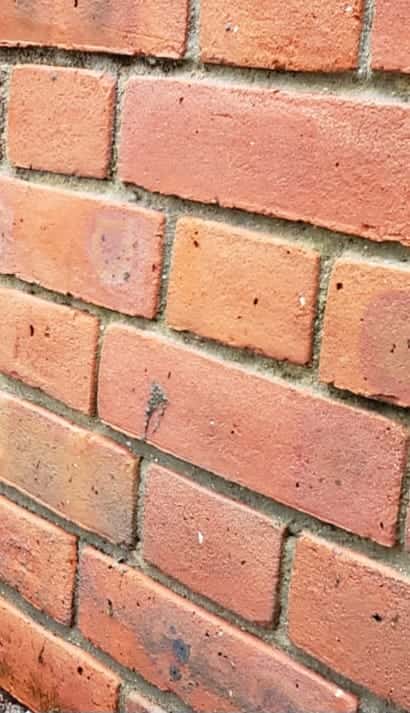 Close-up of a clean red brick wall after pressure washing removed moss and dirt