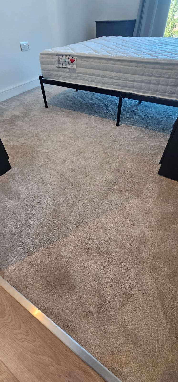 Freshly cleaned beige bedroom carpet with vacuum lines beside a bed frame and mattress