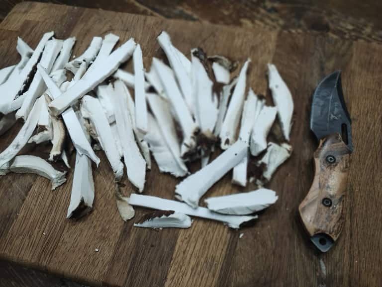 Sliced wild mushrooms beside a bushcraft knife