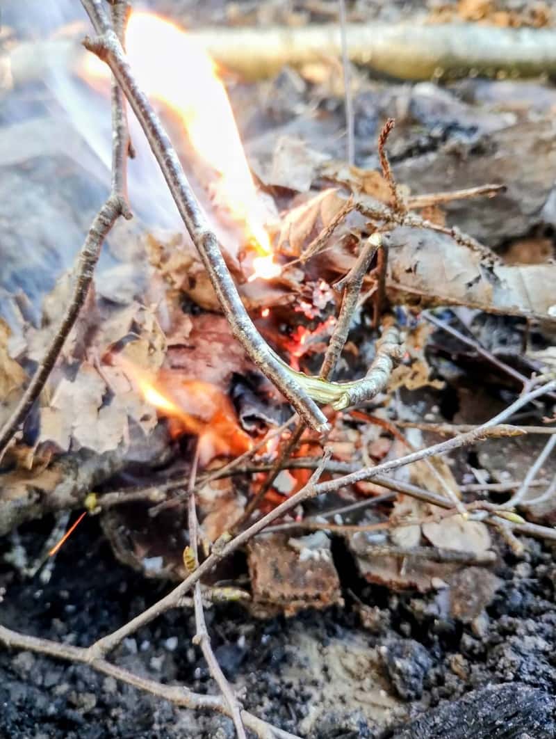 Leaves and kindling catching flame over birch bark