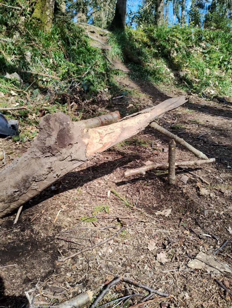 A log being shaved on a stick brace, set up for whittling