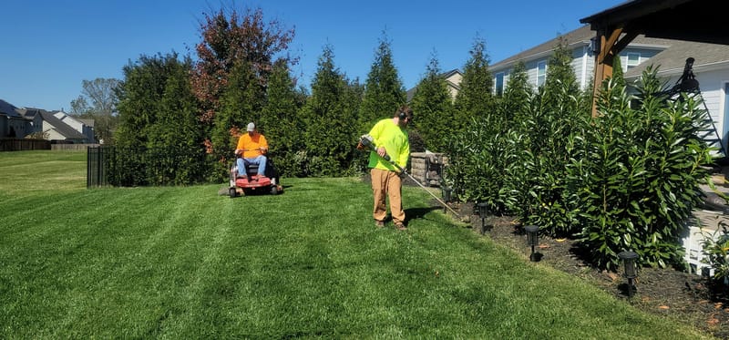 A well-kept lawn and garden after professional lawn care