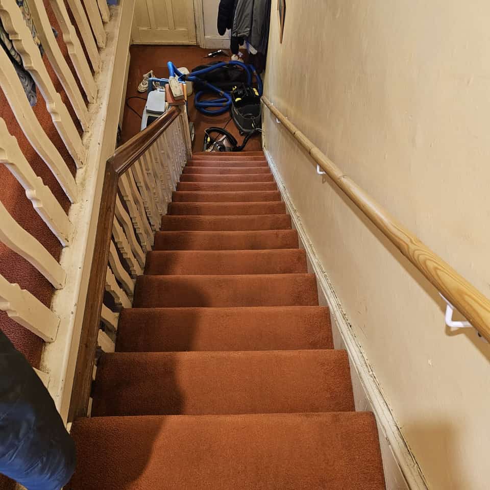 Freshly cleaned brown staircase carpet viewed from the top of the stairs.