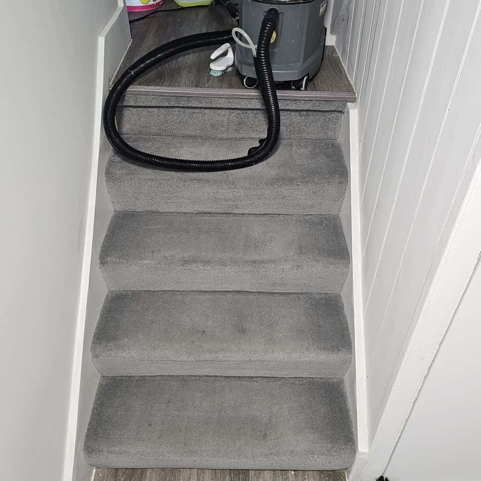 Clean grey staircase carpet after professional cleaning between white walls.