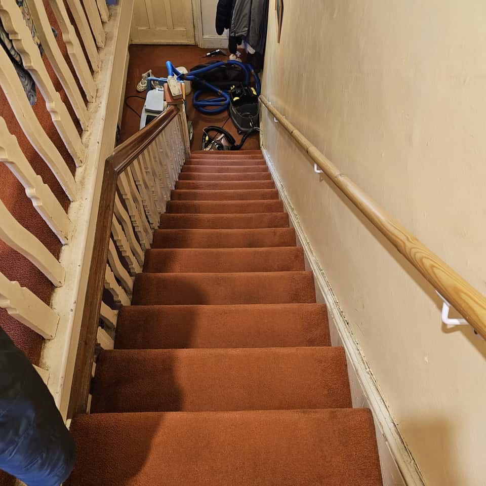 Freshly cleaned brown staircase carpet viewed from the top of the stairs.