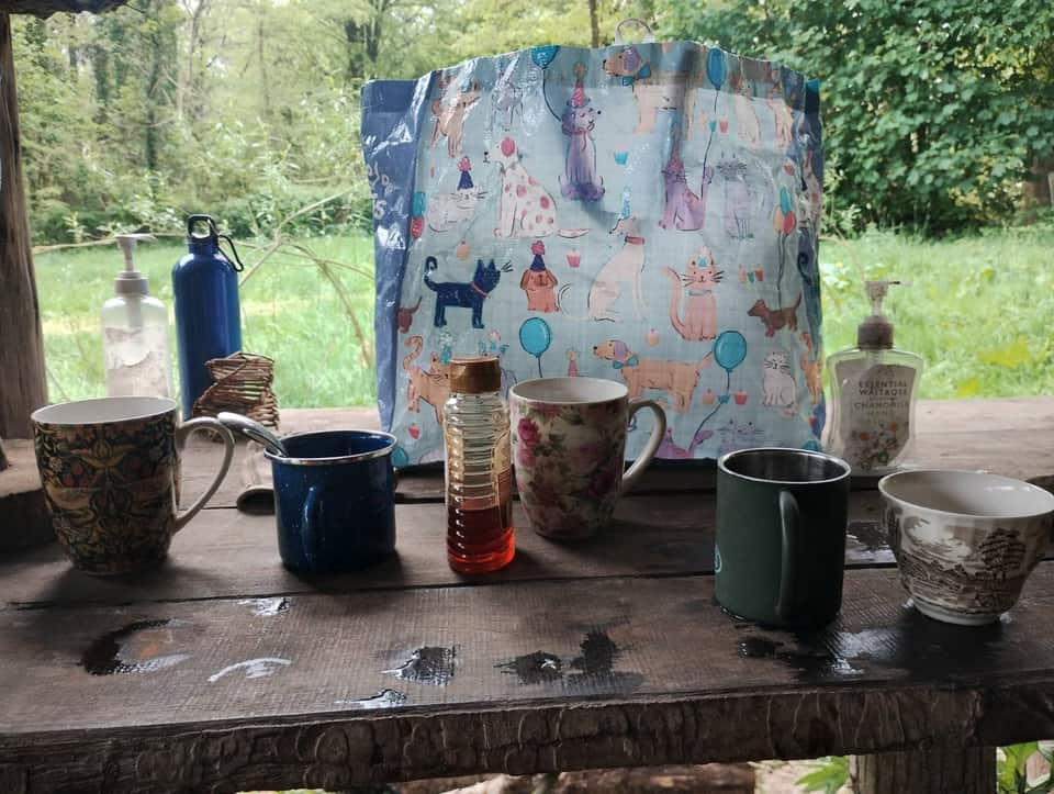 Wooden table with mugs, water bottle and tea cosy in front of woodland