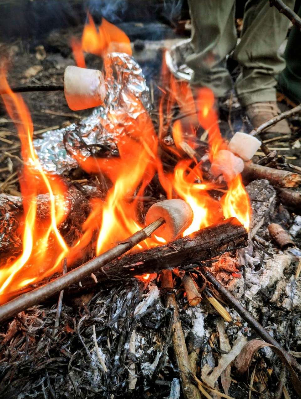 Marshmallows on sticks roasting over orange flames