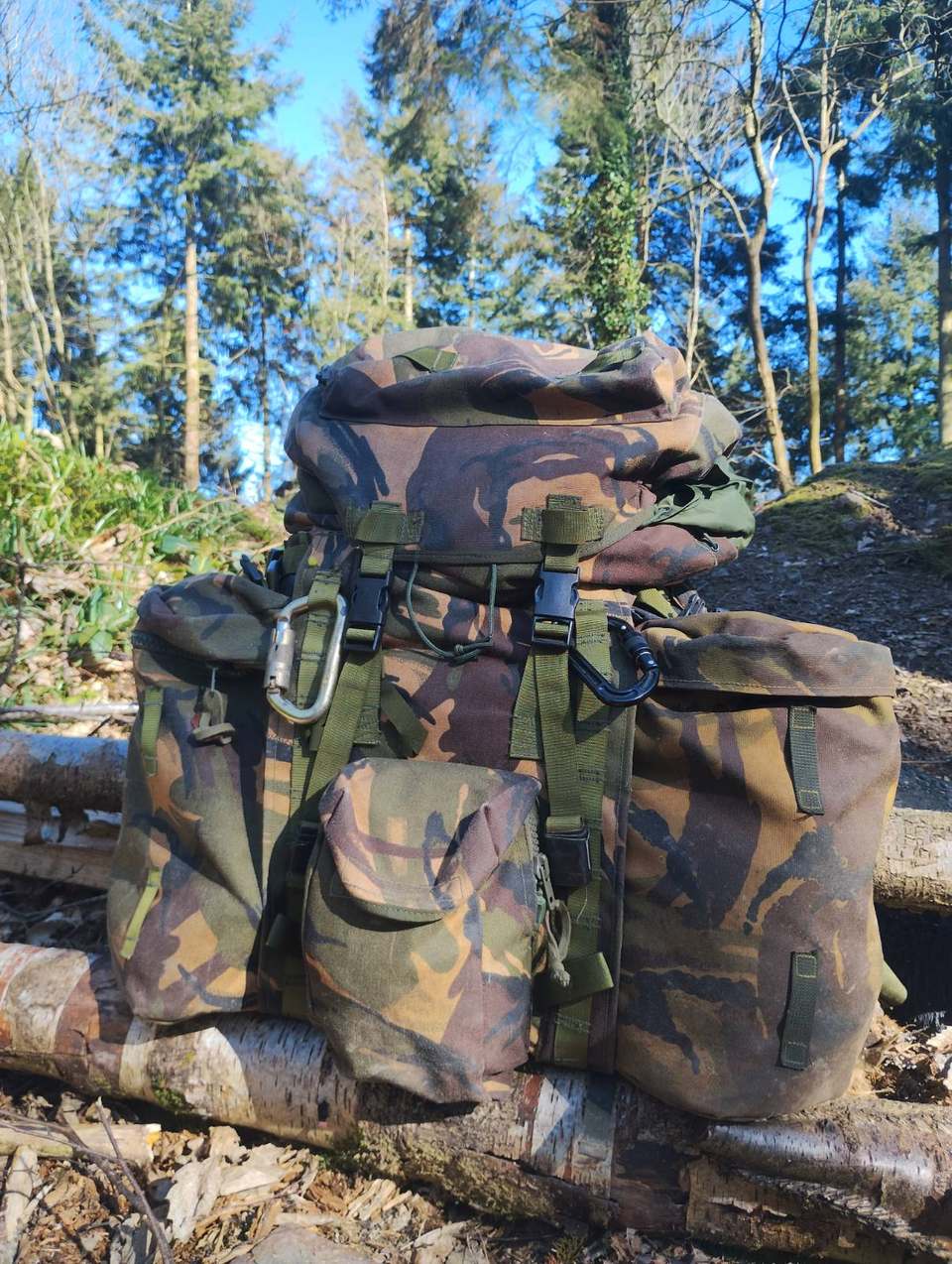 Camouflage rucksack on a log in sunlit pine woodland