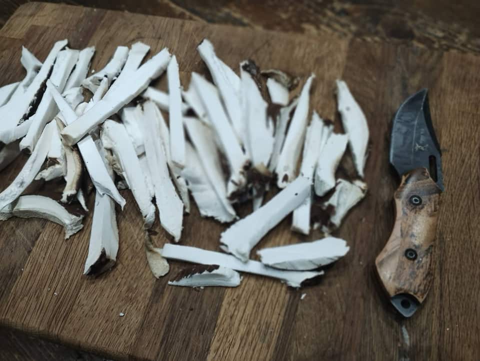 Sliced wild mushrooms beside a bushcraft knife
