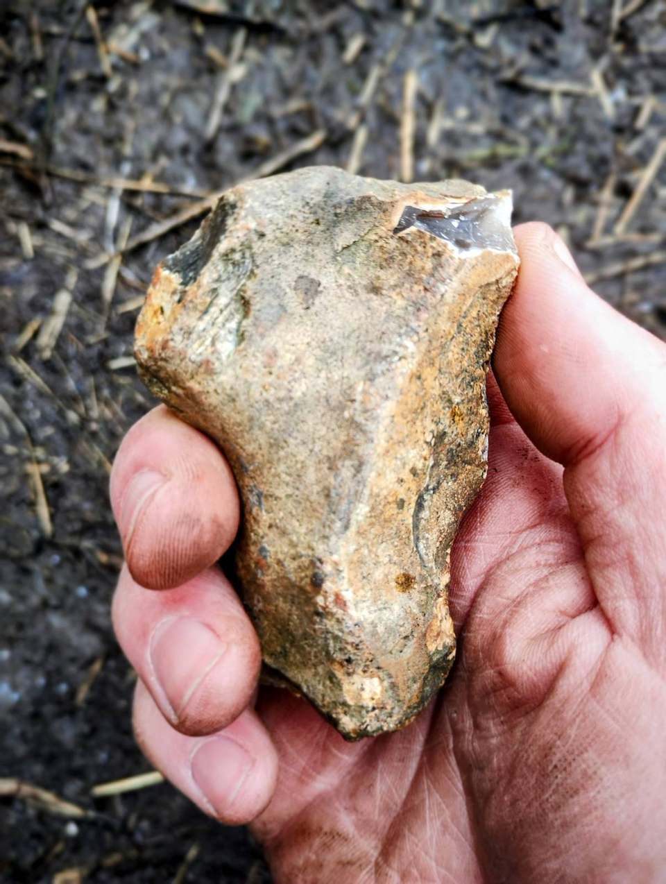 Hand holding a knapped flint flake