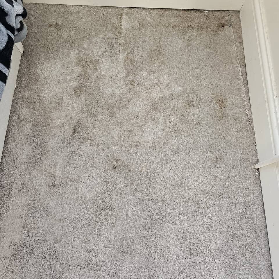 Heavily soiled grey bedroom carpet with dark stains before professional cleaning.