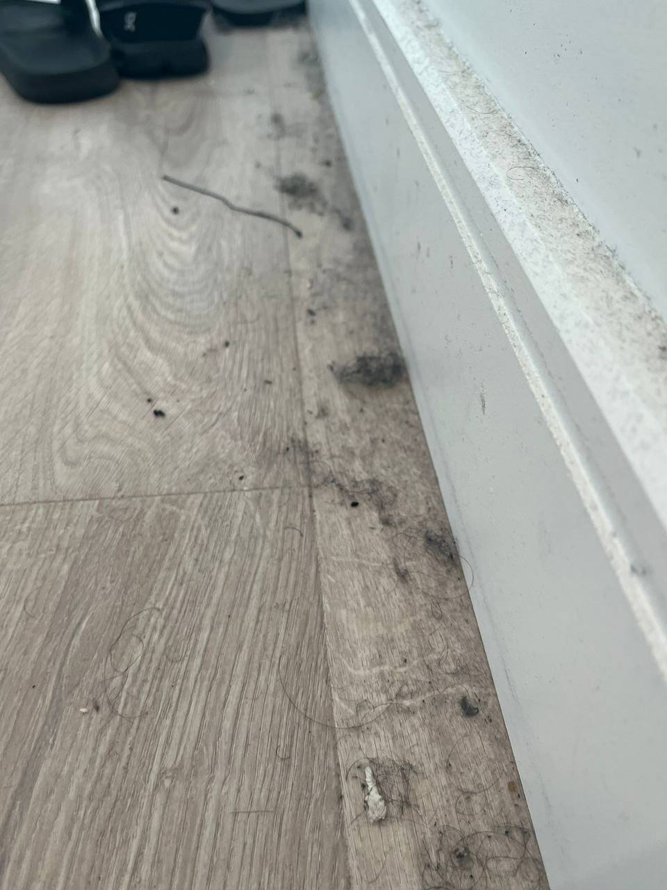 Dust, hair and debris gathered along the skirting board on a grey laminate floor before cleaning