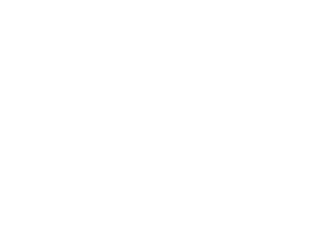 Everstone Property Partners logo